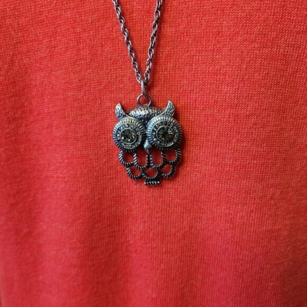 CLEARANCE Owl Pendant on Long 30" Chain. Pewter colour. Necklace.